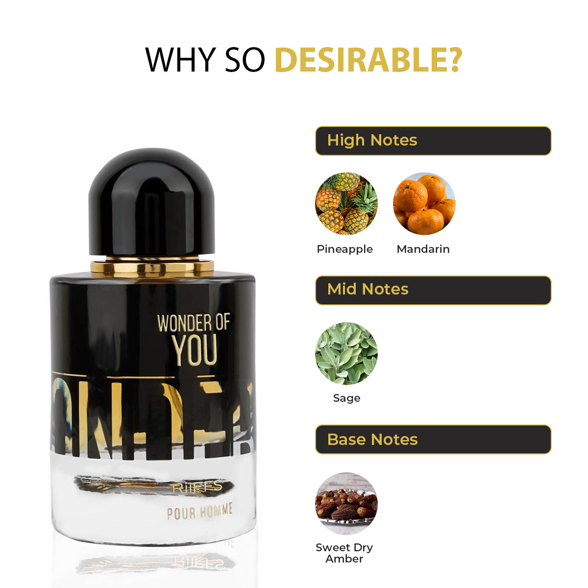 RiiFFS PERFUMS Wonder Of You Pour Homme Imported Long Lasting, 100ml Men Liquid Perfume, Warm Spicy, Aromatic & Ozonic, Soothing Fragrance